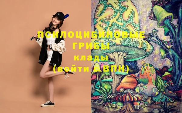 mix Верхний Тагил