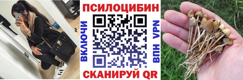 Галлюциногенные грибы прущие грибы  hydra   Мончегорск 