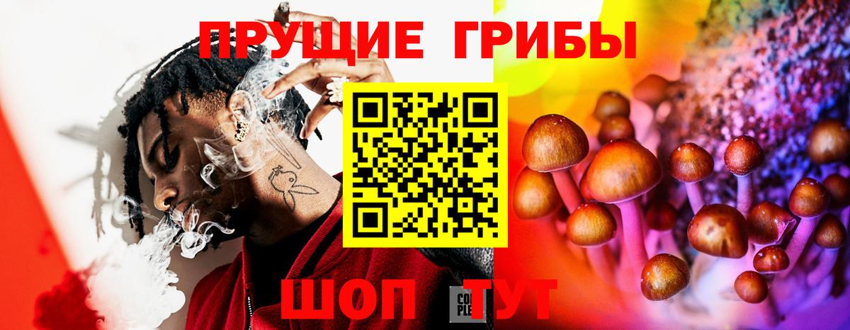 Мончегорск  купить наркотики сайты  Псилоцибиновые грибы MAGIC MUSHROOMS  Вход с VPN  Галлюциногенные грибы прущие грибы 